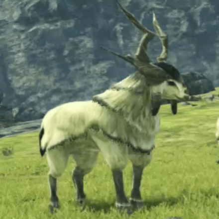 ルドニーク・ハインド画像