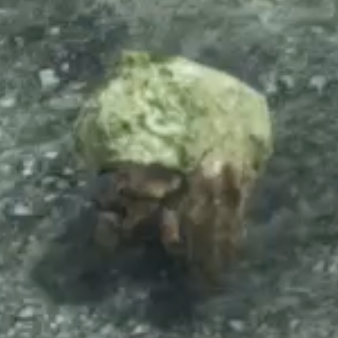 マテリア・クライブ画像