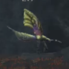 イルミ・スキート画像