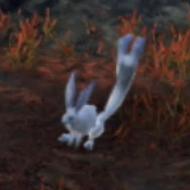 アーム・バニット画像