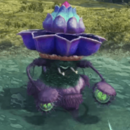 セニア・バランド画像