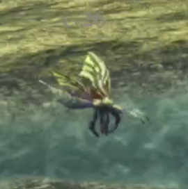 バルカ・スキート画像