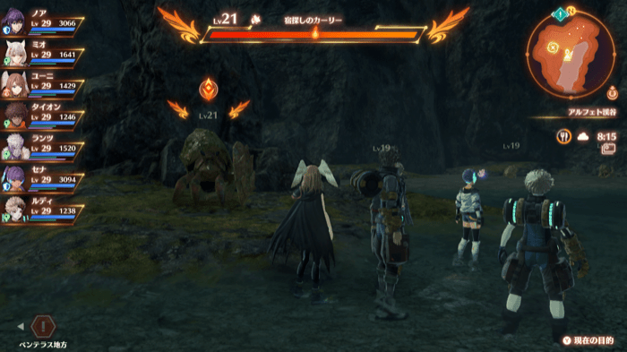 宿探しのカーリー画像