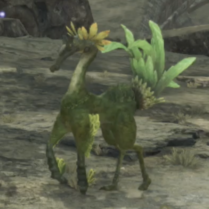 カルム・カミル画像