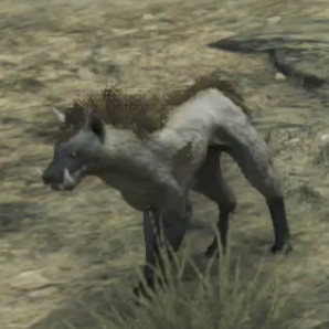 ランド・ヴォルフ画像