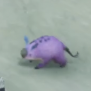 チャピー・カピーバ画像