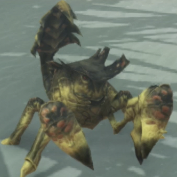 ルイン・スコピオ画像