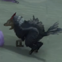 キャルス・ストラ画像