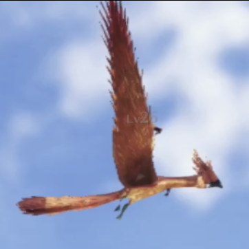 クーゲル・タオース画像