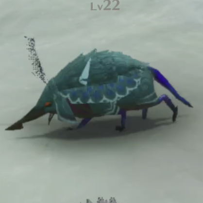 ディゲル・タスマン画像