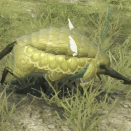 オルド・タスマン画像