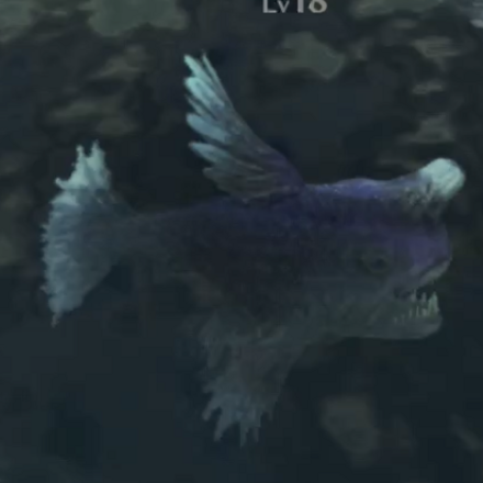 イヌマ・サモン画像