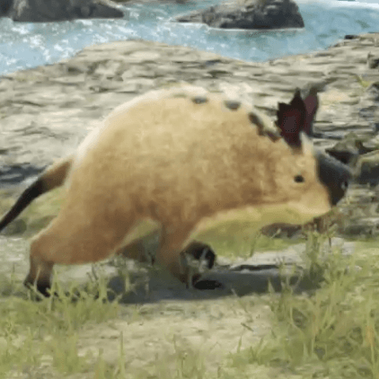 パピリコ・カピーバ画像