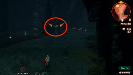 宿探しのカーリー