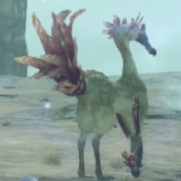 オルミード・カミル画像