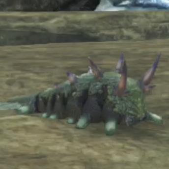 バキュラー・キャピル画像