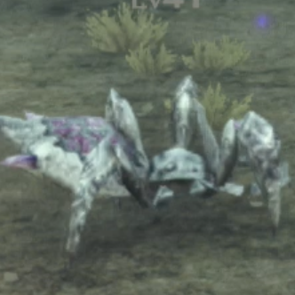 ワーカー・スパイド画像