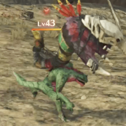 バード・イグーナ画像