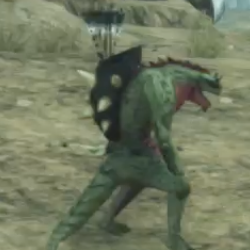 アロー・イグーナ画像