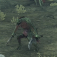 ソードマン・イグーナ画像