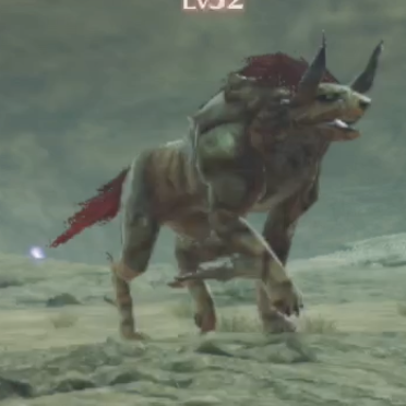 カエルム・フェリス画像