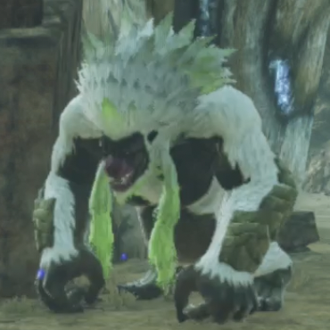 サブミット・コゴール画像