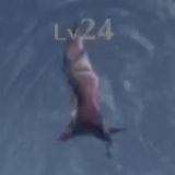 ライアー・ヴァンプ画像