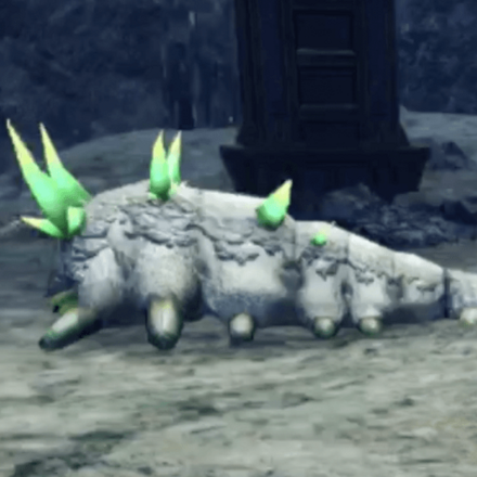 ブレアー・キャピル画像