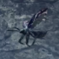 プロム・スキート画像