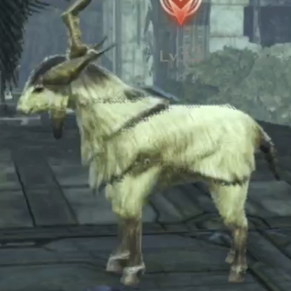 サムイード・ハインド画像