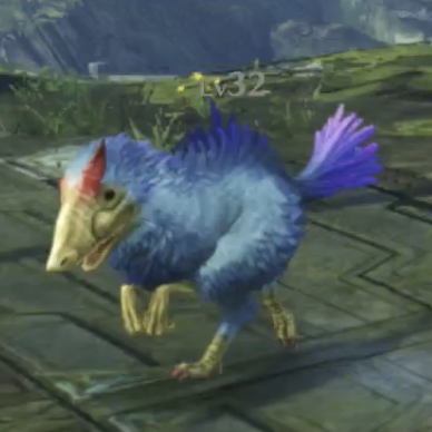 アヴィ・ストラ画像