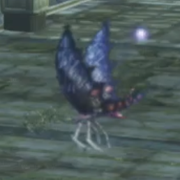 バルカ・フライア画像