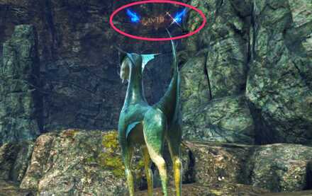 エリートラッキー