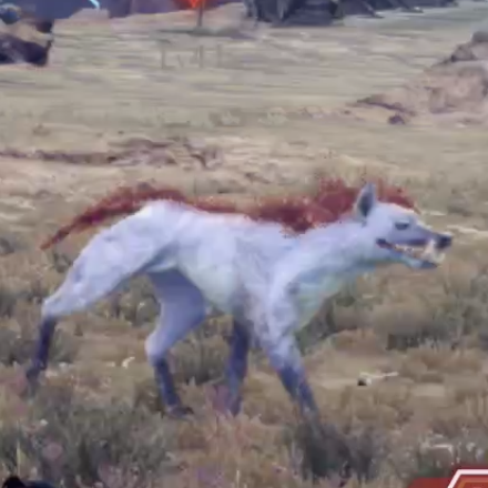 クラン・ヴォルス画像