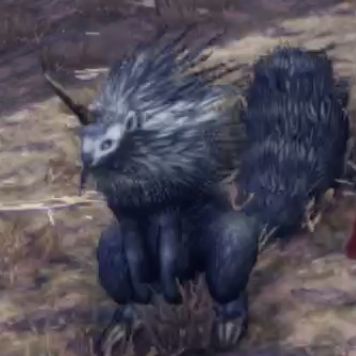 プラタン・ホッグス画像