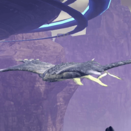 ダイバー・モラモラ画像