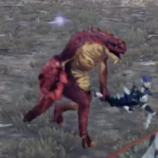 マスケティ・イグーナ画像