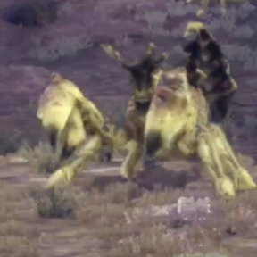 ウォー・スコピオ画像