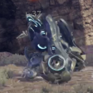 エクイテス画像