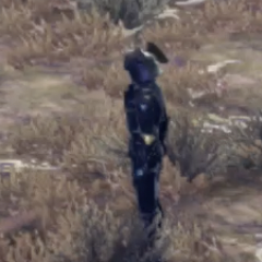 ケヴェス・ソルジャー画像