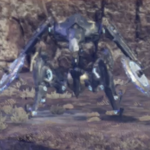 ウェリテス画像