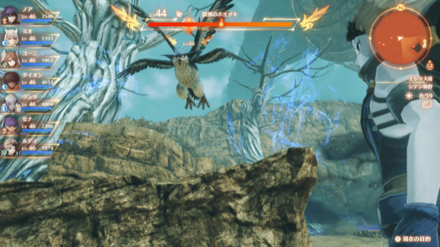 該博のホオヅキ画像