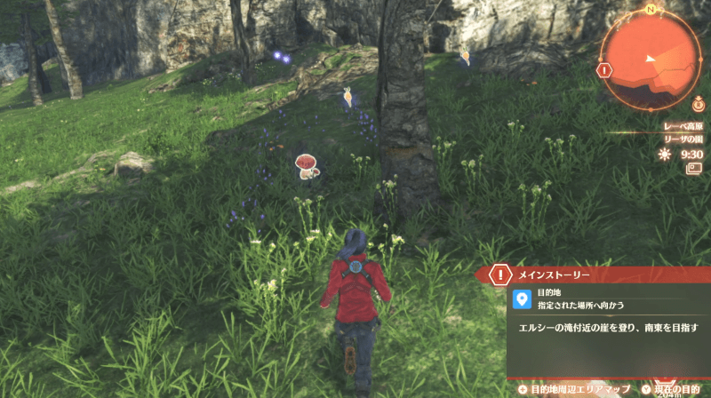 ユラユラタケの見た目