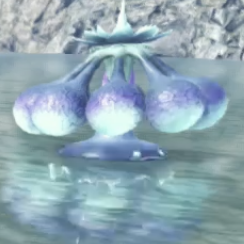 ラヌラ・アモネー画像