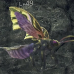 クロタ・スキート画像