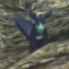 キュートル・ピピット画像