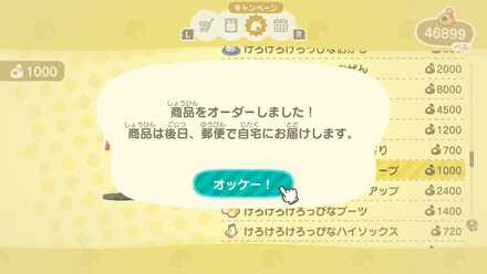 注文すると翌日ポストに届く