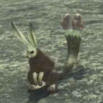 ナックル・バニット画像