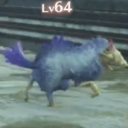 コックド・ストラ画像