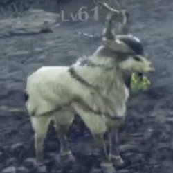 アブグラン・ハインド画像